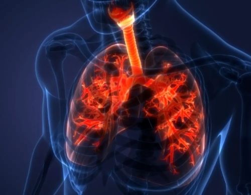 Immagine relativa al post intitolato Il fumo altera il microbiota e aggrava l’influenza 