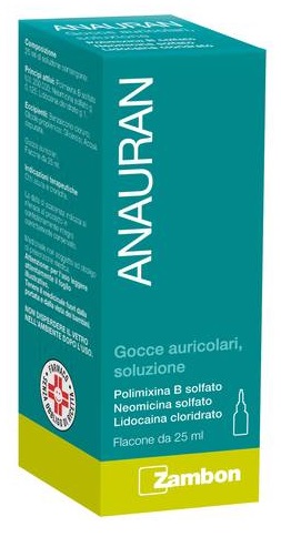 ANAURAN*GTT AURIC FL 25ML - Farmacia Sant Anna SAS del Dott. Mariani Federigo