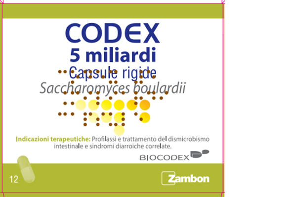 CODEX*12CPS 5MLD 250MG - Farmacia Sant Anna SAS del Dott. Mariani Federigo