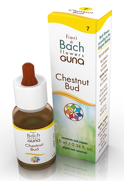 CHESTNUT BUD GOCCE 10 ML - Farmacia Sant Anna SAS del Dott. Mariani Federigo