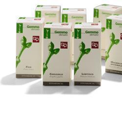 BETULLA PUBESCENS GEMME MACERATO GLICERICO 50 ML - Farmacia Sant Anna SAS del Dott. Mariani Federigo