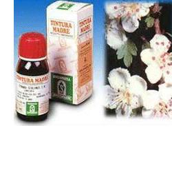 BIANCOSPINO 10 50ML TM - Farmacia Sant Anna SAS del Dott. Mariani Federigo