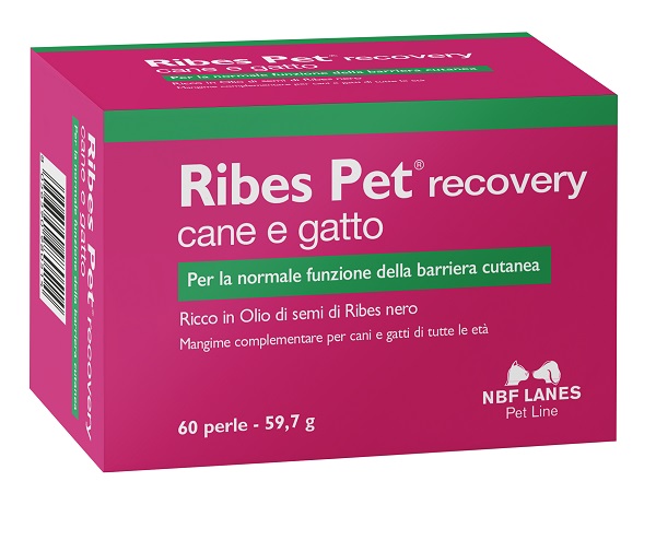 RIBES PET RECOVERY BLISTER 60 PERLE - Farmacia Sant Anna SAS del Dott. Mariani Federigo