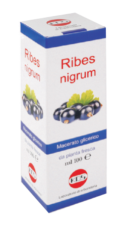 RIBES NIGRUM MACERATO GLICERICO 100 ML GOCCE - Farmacia Sant Anna SAS del Dott. Mariani Federigo