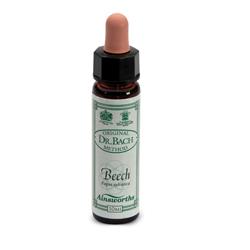 AINSWORTHS BEECH 10ML - Farmacia Sant Anna SAS del Dott. Mariani Federigo