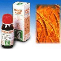AVENA SATIVA 3 50ML TM - Farmacia Sant Anna SAS del Dott. Mariani Federigo