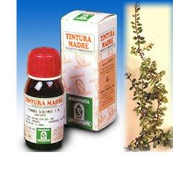 UVA URSINA 30 50ML TM - Farmacia Sant Anna SAS del Dott. Mariani Federigo