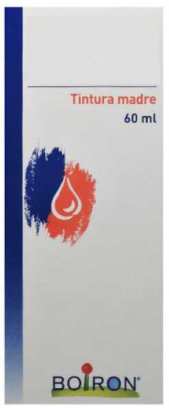 TARAXACUM TINTURA MADRE 60 ML - Farmacia Sant Anna SAS del Dott. Mariani Federigo