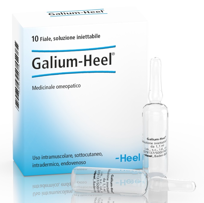 HEEL GALIUM 10 FIALE DA 1,1 ML L'UNA - Farmacia Sant Anna SAS del Dott. Mariani Federigo
