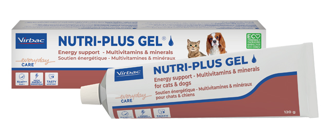 NUTRIPLUS GEL PASTA ORALE 120 G - Farmacia Sant Anna SAS del Dott. Mariani Federigo