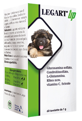 LEGART UP 60 COMPRESSE DA 1 G - Farmacia Sant Anna SAS del Dott. Mariani Federigo