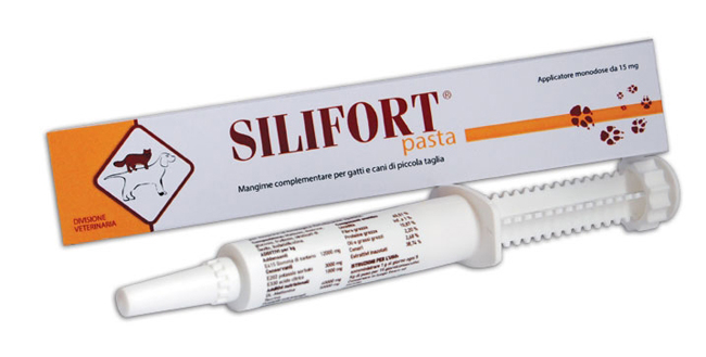 SILIFORT PASTA OS SIRINGA 30 G - Farmacia Sant Anna SAS del Dott. Mariani Federigo