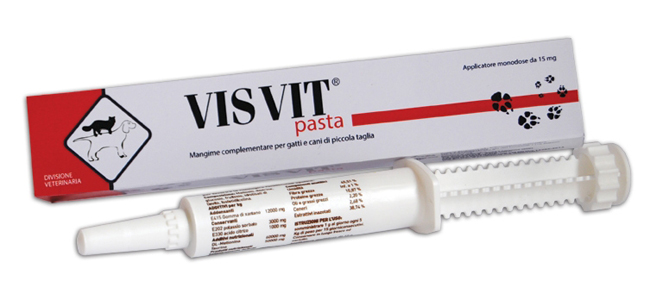 VISVIT PASTA OS SIRINGA 15 G - Farmacia Sant Anna SAS del Dott. Mariani Federigo