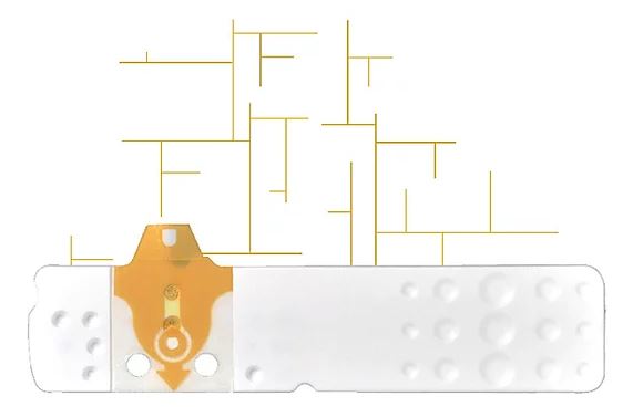 STRISCE MISURAZIONE GLICEMIA LINEA D ORO 25 PEZZI - Farmacia Sant Anna SAS del Dott. Mariani Federigo