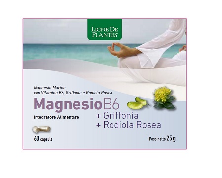 MAGNESIO B6 + GRIFFONIA + RODIOLA 60 CAPSULE - Farmacia Sant Anna SAS del Dott. Mariani Federigo