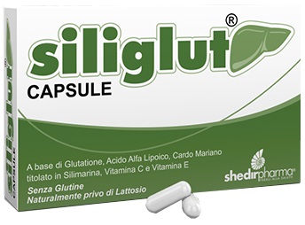 SILIGLUT 20 CAPSULE - Farmacia Sant Anna SAS del Dott. Mariani Federigo