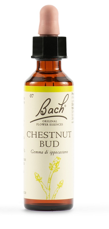 CHESTNUT BUD BACH ORIG 20 ML - Farmacia Sant Anna SAS del Dott. Mariani Federigo