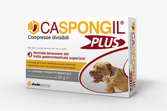CASPONGIL PLUS 30 COMPRESSE - Farmacia Sant Anna SAS del Dott. Mariani Federigo