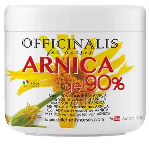 ARNICA GEL 90% 500 ML - Farmacia Sant Anna SAS del Dott. Mariani Federigo