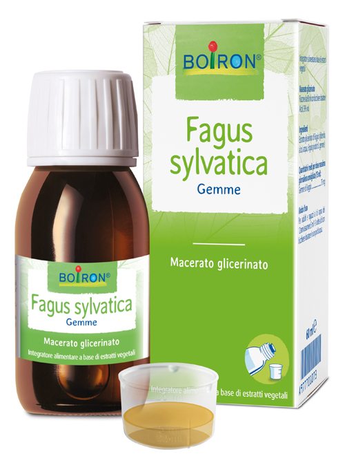 FAGUS SYLVATICA BOIRON MACERATO GLICERICO 60 ML - Farmacia Sant Anna SAS del Dott. Mariani Federigo