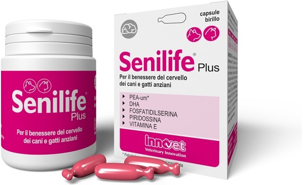 SENILIFE PLUS 30 CAPSULE - Farmacia Sant Anna SAS del Dott. Mariani Federigo