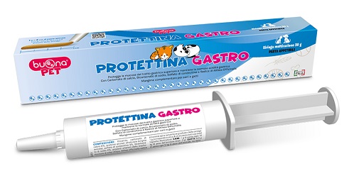 PROTETTINA GASTRO PASTA IN SIRINGA 30 G - Farmacia Sant Anna SAS del Dott. Mariani Federigo